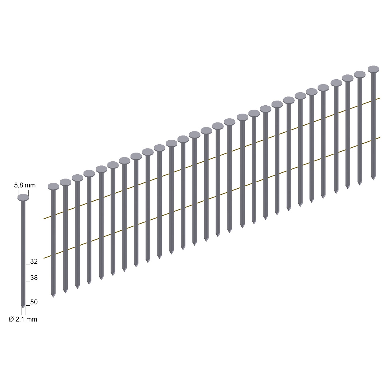 CNF21/50BKRI Coilnägel blank Ringschaft